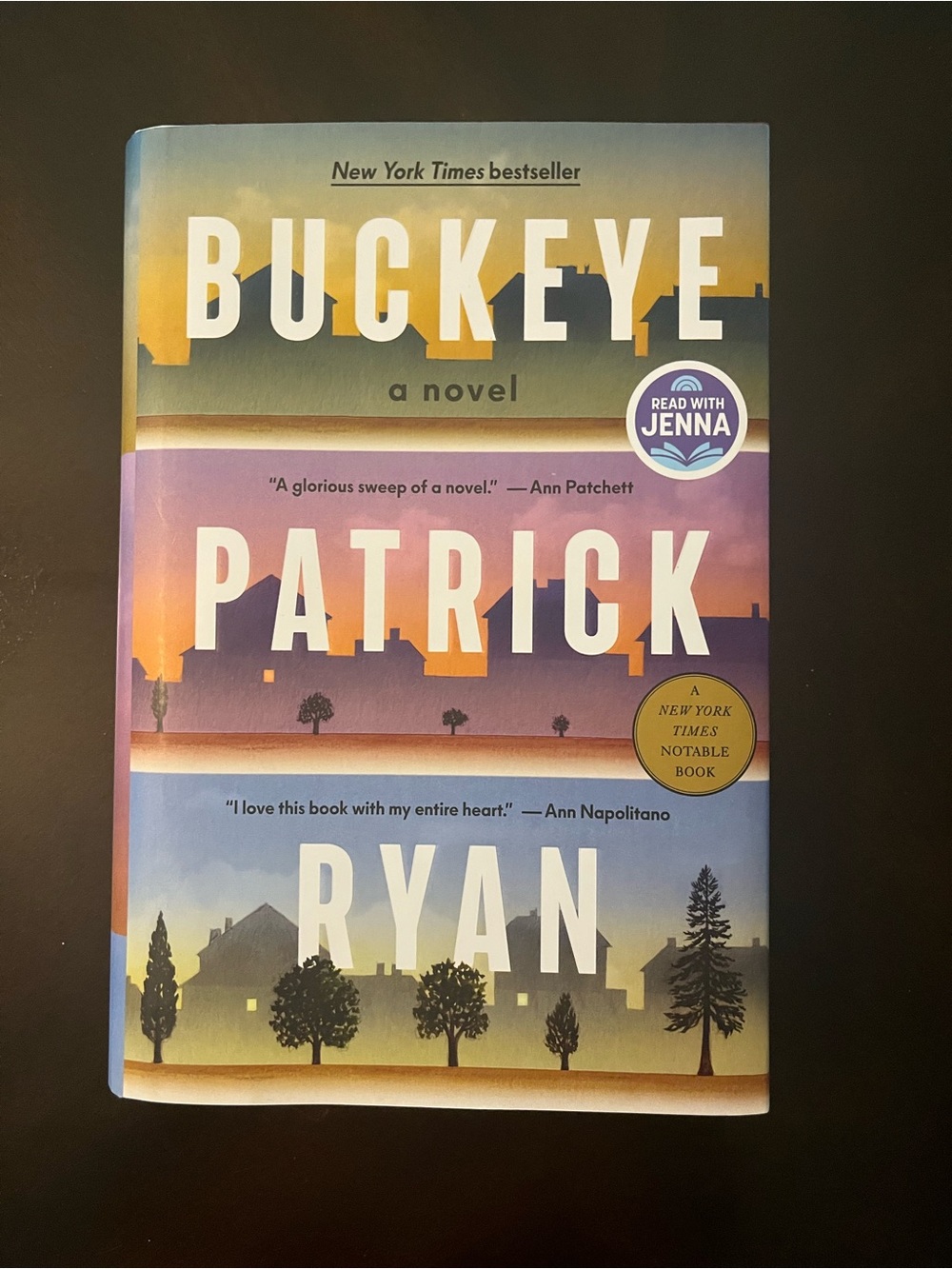 Buckeye by Patrick Ryan - Multicolor Hardcover Novel